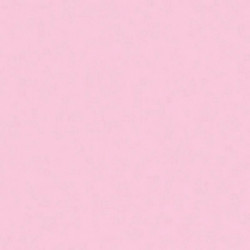 BUVARDS 16x21 125GR PQT 100 ROSE
