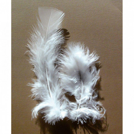 PLUMES COULEUR BLANCHE 25GR 460107