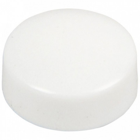 BLISTER DE 10 PUNAISES MAGNÉTIQUES, DIAMÈTRE 12 MM.  BLANC
