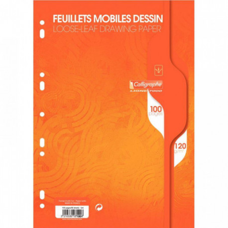 SACHET 50 FEUILLETS MOBILES DESSIN (100 PAGES) FORMAT 21X29,7 CM 120G UNI BLANC