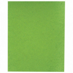 PROTÈGE-CAHIER 2 GRANDS RABATS  FORMAT 18 X 22 CM CARTE LUSTRÉE COLORIS VERT