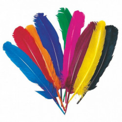 SACHET DE 12 PLUMES D'INDIEN COULEURS ASSORTIES