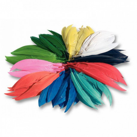 SACHET DE 100 GRAMMES DE PLUMES D'INDIEN COULEURS ASSORTIES