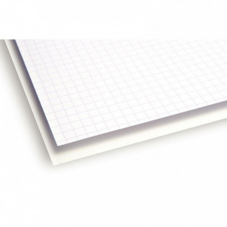 PAQUET DE 125 FEUILLES BRISTOL, FORMAT : 50 X 65 CM, 205 GRAMMES, UNI BLANC