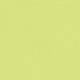 PAQUET DE 25 FEUILLES CARTOLINE 50X65 CM 130 G  VERT CLAIR