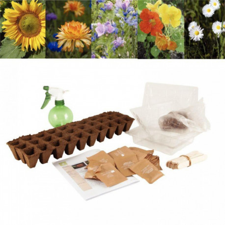 ASSORTIMENT DE 30 SACHETS DE GRAINES DE FLEURS