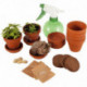 SET DE 5 PLANTES EXTRAORDINAIRES