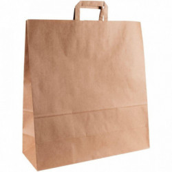 CARTON DE 100 SACS KRAFT BRUN POIGNÉE PLATES 45+17X48CM 100G/M²