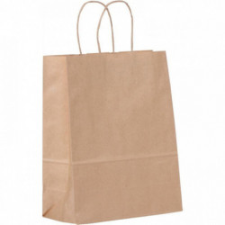 CARTON DE 200 SACS KRAFT BRUN POIGNÉE TORSADÉE 24+11X32,5CM 90G/M²