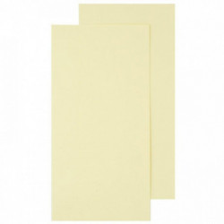 PAQUET DE 25 CARTES POLLEN CLAIREFONTAINE FORMAT 106X 213MM 210G IVOIRE