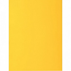 CHEMISES JAUNE CITRON PQT 50 2 RABATS 210G ROCK'S 220 FORMAT 24X32 CM