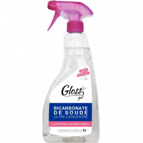 BICARBONATE DE SOUDE GLOSS gel pistolet 750 ml PV83516001