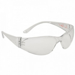 LUNETTE DE PROTECTION EN VERRE INCOLORE POKELUX