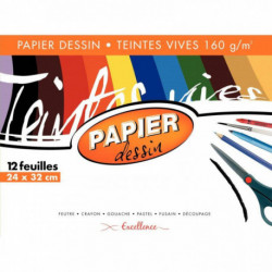 POCHETTE DE 12 FEUILLES PAPIER DESSIN 160G COULEUR FORMAT 24X32 CM TEINTES VIVES