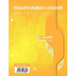 FEUILLETS MOBILES 17X22 *PQT50*(100 PAGES) FORMAT 17X22 CM SÉYÈS 80G