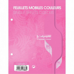 FEUILLETS MOBILES 17X22 *PQT50*(100 PAGES) FORMATSÉYÈS 80G COLORIS ROS