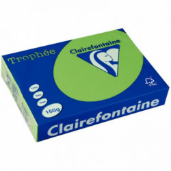 PAPIER TROPHEE A3 160G VERT MENTHE RTE 250 1035C