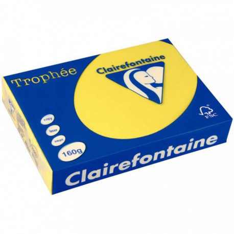 PAQUET DE 250 FEUILLES DE PAPIER 160G DE FORMAT A4 JAUNE SOLEIL TROPHEE CLAIREFO