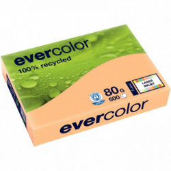 PAPIERA3 80G  RECYCLÉ SAUMON R500F EVERCOLOR