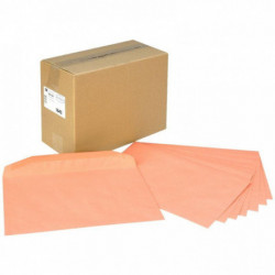 ENVELOPPE **BTE250*229X324 GOMMEE MARRON 90G ADMINISTRATIVE      164