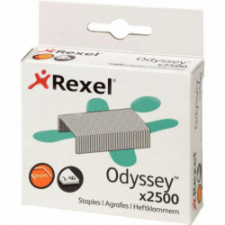 AGRAFES ODYSSEY BTE 2500 60F REXEL 2100050