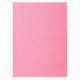 SOUS-CHEMISES ROSE PQT 250 PEFC FAB FRANCE SUPER 60G 22x31