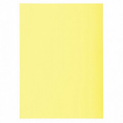 SOUS-CHEMISES JAUNE PQT 250 PEFC FAB FRANCE SUPER 60G 22x31