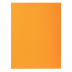 SOUS CHEMISES OCRE PQT 100 PEFC FAB FRANCE  ROCK'S 220 80G
