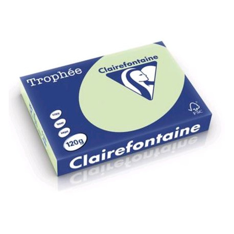 *PAPIER REPRO A4 120GR   VERT GOLF P/250F