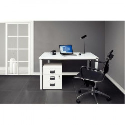 BUREAU DROIT PIÈTEMENT EN U L160CM PANNEAU BLANCPIEDS BLANC