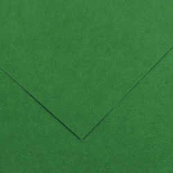 PAQUET DE 10 FEUILLES COLORLINE 50X65 CM 150 G VERT MOUSSE