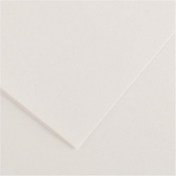 PAQUET DE 10 FEUILLES COLORLINE 50X65 CM 150 G BLANC