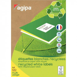 BOÎTE DE 800 ÉTIQUETTES ADRESSE MULTI-USAGES 105X70 MM RECYCLÉES