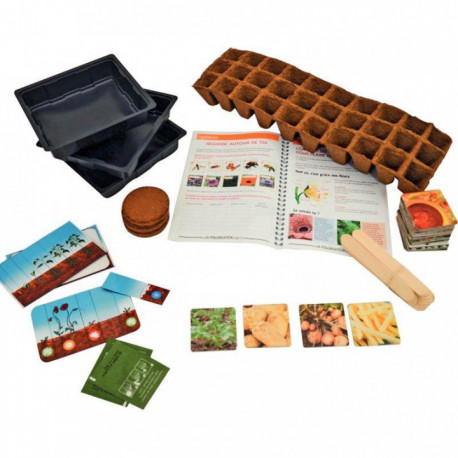 COFFRET LA VIE D'UNE PLANTE