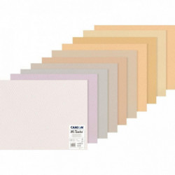 FEUILLES MI-TEINTES 50X65 CM TEINTES PASTELS PQT DE 10