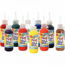 CRT 10FL 100ML MAGIC PAINT ASS