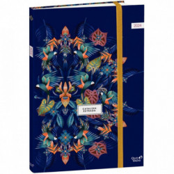 AGENDA MINISTRE CATALINA ESTRADA 16X24 PERROQUET