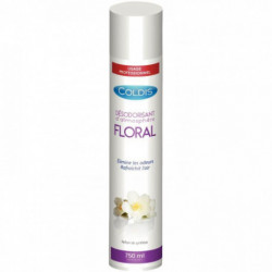 AÉROSOL 750ML DÉSODORISANT FLORAL